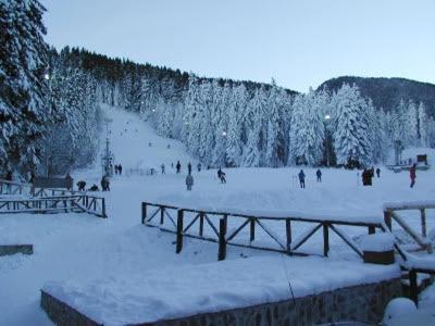 Studios-Villa Park Sv Borovets Exterior photo